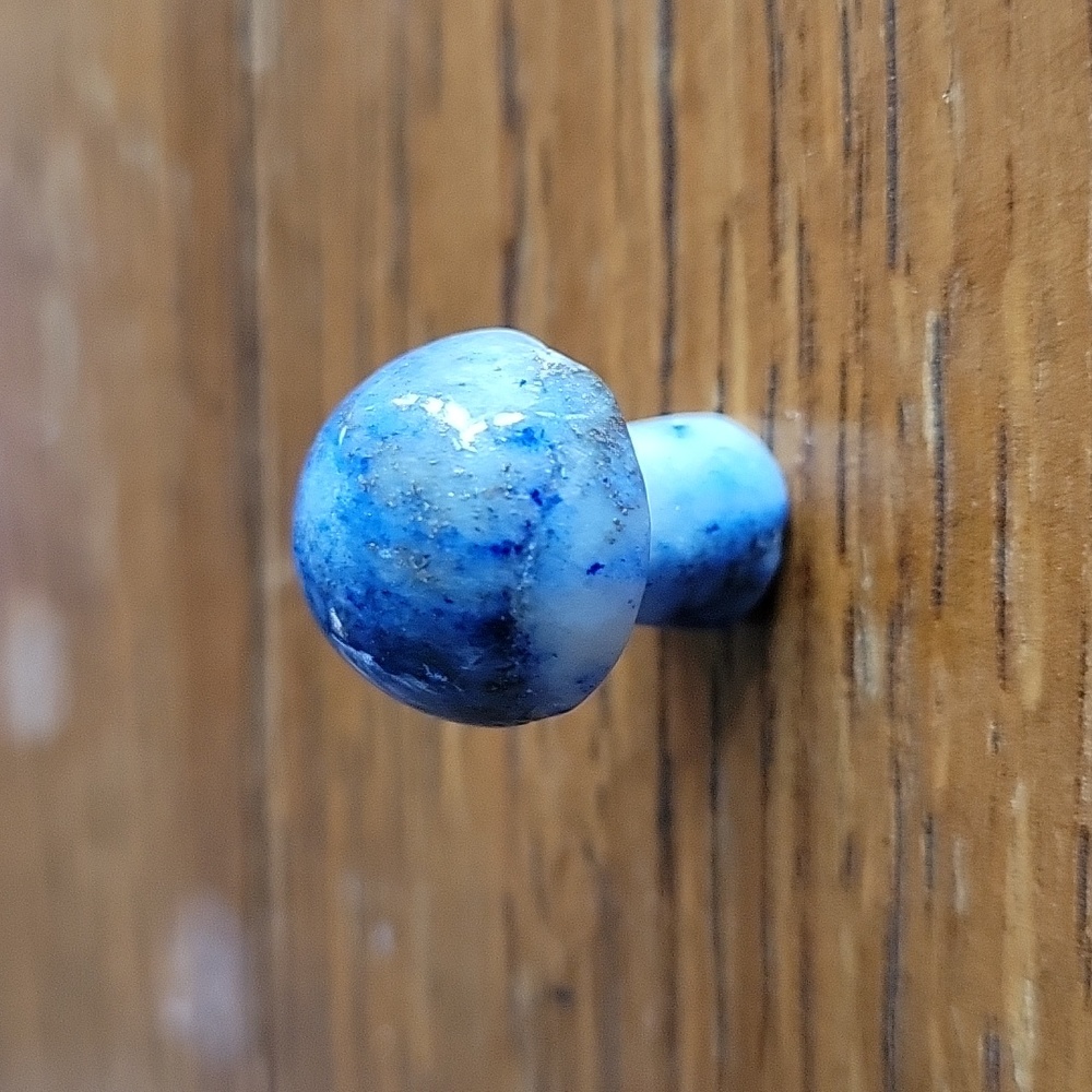 Lapis lazuli mushroom